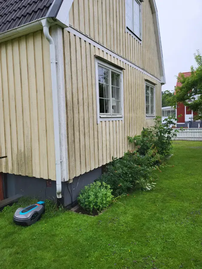 Trähus med algpåväxt före tvätt